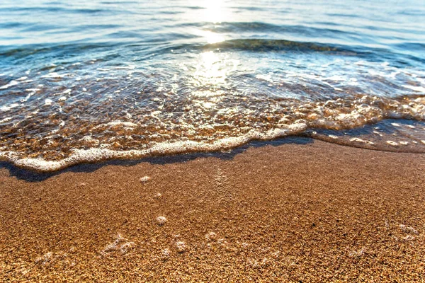 햇살이 해변의 머금은 물결을 가까이서 바라본다 — 스톡 사진