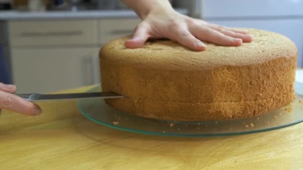 Крупним Планом Жіночі Руки Ріжуть Запечене Печиво Приготування Солодкого Торта — стокове відео