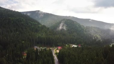 Yeşil Karpat dağlarının havadan görünüşü yaz güneşli bir günde çam ağaçlarıyla kaplıdır..