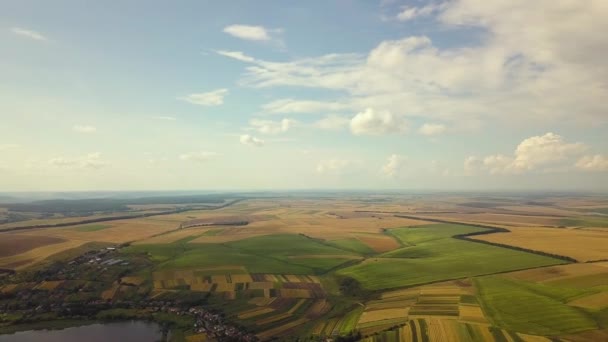 Aerial Rural Landscape Yellow Patched Agriculture Fields Blue Sky White — Stock Video