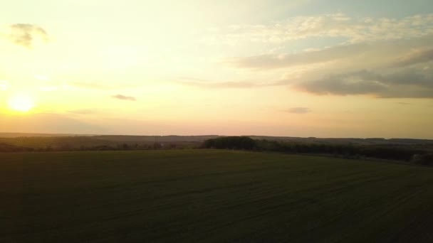 Luchtfoto Van Donkergele Zonsondergang Boven Boerderijvelden Het Voorjaar — Stockvideo