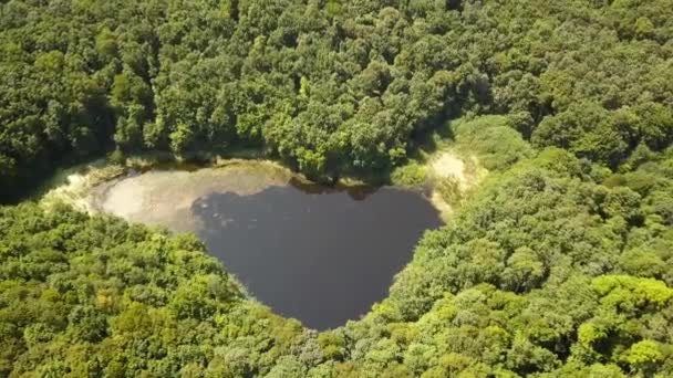 Letecký Pohled Malé Lesní Jezero Uprostřed Zelených Hustých Lesů Létě — Stock video