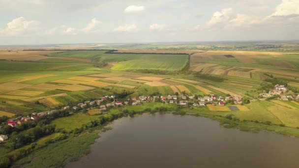 Vista Aérea Lago Rodeado Campos Agrícolas Amarillos Pequeñas Casas Pueblo — Vídeos de Stock
