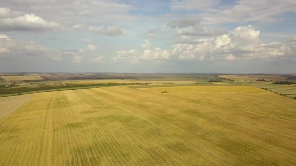 Paysage rural aérien avec champs agricoles jaunes et ciel bleu avec nuages blancs.