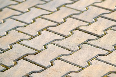 Gri beton kaldırım levhalarının yakın plan detayları..