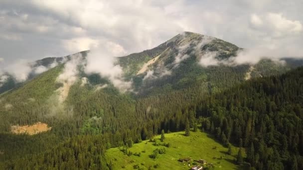 Вид Воздуха Зеленые Карпатские Горы Покрытые Вечнозелеными Еловыми Соснами Летом — стоковое видео