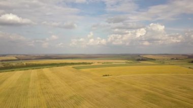 Sarı yamalı tarım arazileri ve beyaz bulutlu mavi gökyüzü olan havadan kırsal alan..