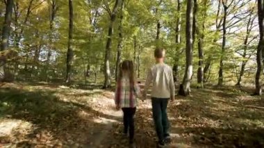 Two children walking holding hands in autumn forest with bright orange and yellow leaves. Dense woods in sunny fall weather.