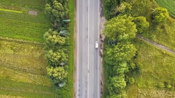 Flygfoto Väg Med Rörliga Bilar Mellan Gröna Träd — Stockvideo