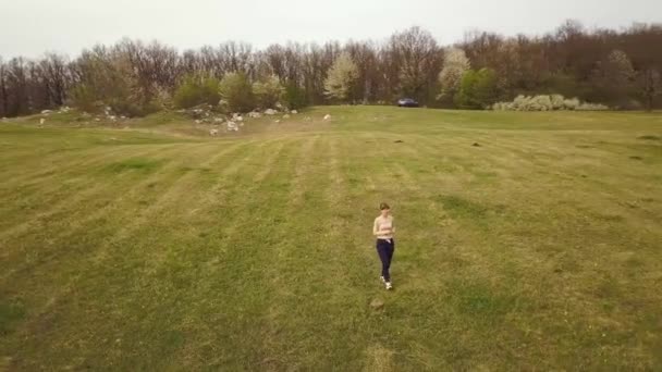 Flygfoto Ung Kvinna Promenader Ensam Tomt Gräs Täckt Fält — Stockvideo