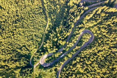 Yüksek dağdaki dolambaçlı yolun havadan görünüşü Yoğun yeşil çam ormanlarından geçer.