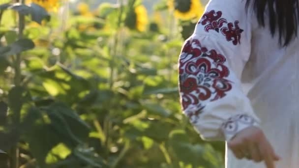 Une femme en vêtements ukrainiens authentiques dansant en plein air dans les champs verts d'été .