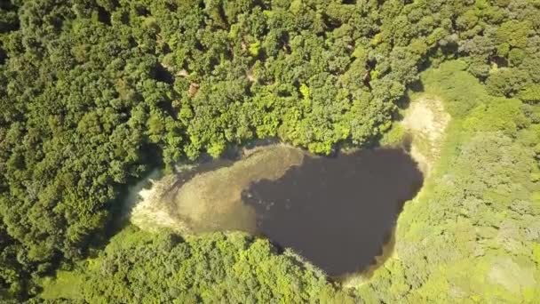 Flygfoto Över Liten Skogssjö Mitt Grön Tät Skog Sommaren — Stockvideo