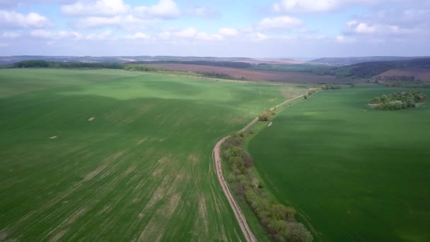 Аерофотозйомка Зеленого Сільськогосподарського Поля Влітку Або Навесні — стокове відео