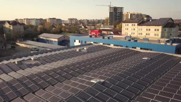 Aerial Kilátás Sok Fotovoltaikus Napelemek Szerelt Ipari Épület Tetején — Stock videók