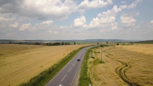 Sarı Tarım Buğday Tarlaları Arasında Giden Arabalarla Dolu Bir Yolun — Stok video