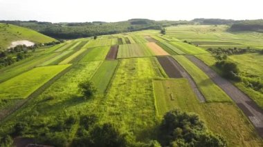 Tohum ekme mevsiminden sonra taze bitki örtüsüyle ilkbaharda yeşil tarım alanlarının havadan görünüşü.