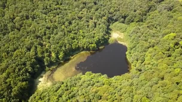Vista Aérea Pequeño Lago Forestal Medio Frondosos Bosques Verano — Vídeos de Stock