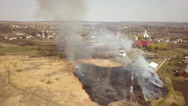 オレンジ色の炎と煙の高い列に火の上に設定された乾燥した草を持つフィールドの空中写真 — ストック動画