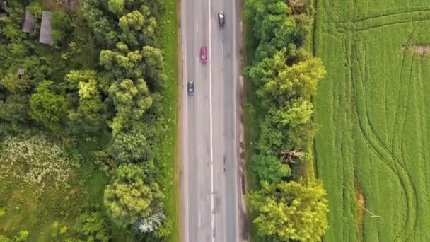 Yeşil Ağaçlar Arasında Hareket Eden Arabaların Olduğu Bir Yolun Havadan — Stok video