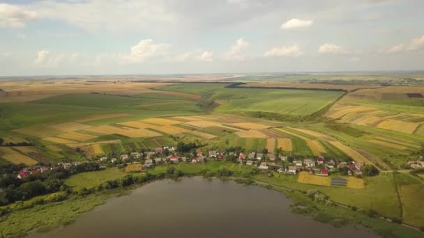Uitzicht Vanuit Lucht Een Meer Omringd Door Gele Landbouwvelden Kleine — Stockvideo