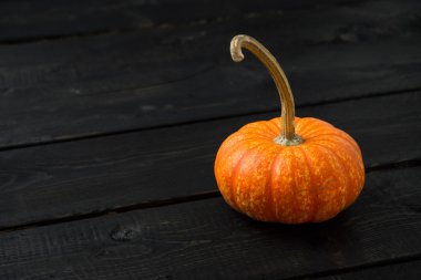 Kabak koyu arka plan üzerinde