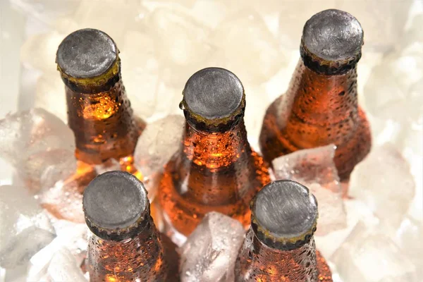 Μπουκάλι μπύρας ψύχρα σε πάγο — Φωτογραφία Αρχείου
