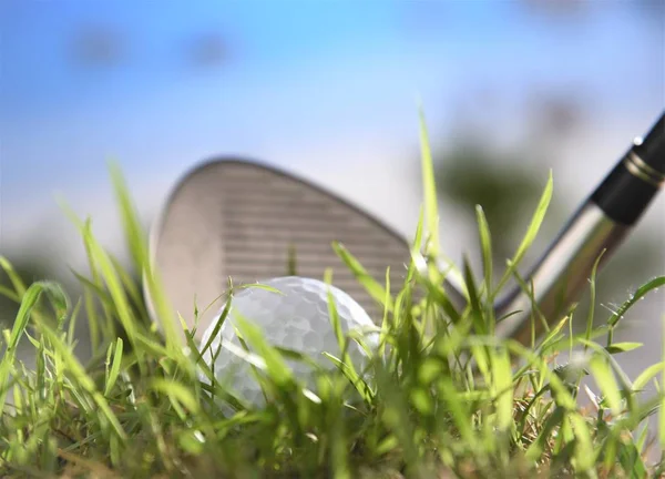 Golfbal in ruwe — Stockfoto