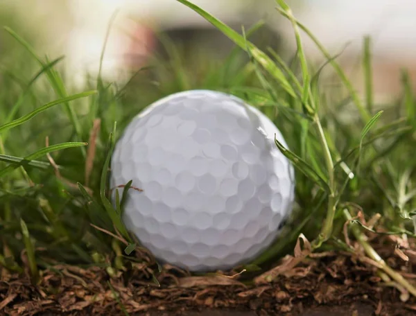 Pallina da golf in grezzo — Foto Stock