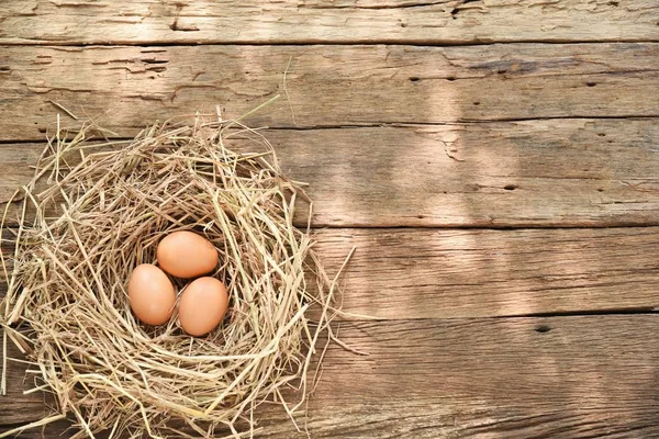 three eggs in nest