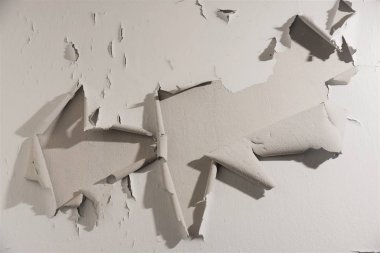 kabuğu duvar boyası