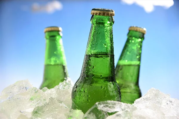 Πράσινα μπουκάλια μπύρας — Φωτογραφία Αρχείου