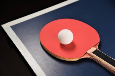 Masa Tenisi dişli