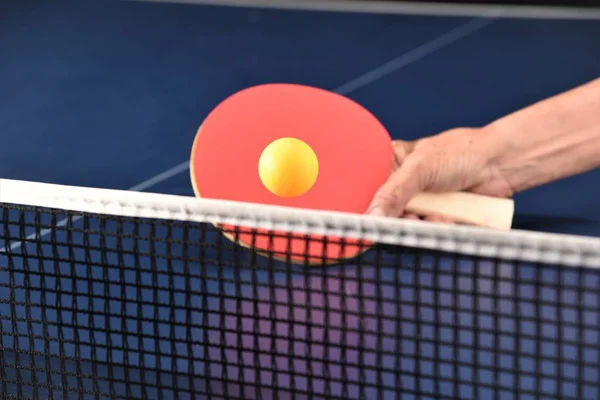 Table tennis playing — Stock Photo, Image