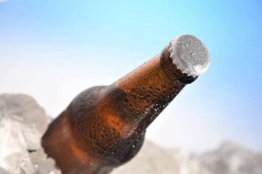 bira şişe buz içinde