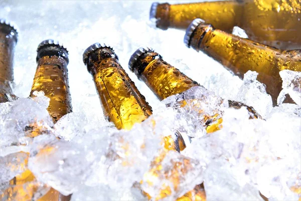 Ψύχρα Μπουκάλια Μπύρας Πάγο — Φωτογραφία Αρχείου