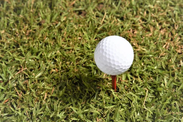 golf ball on tee ready for tee off