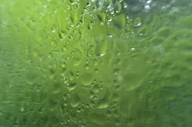 onglass pencere portre su damlaları