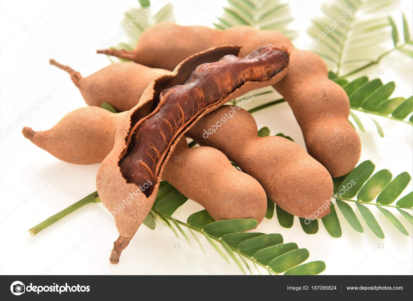 Tamarind Fruit Lay Its Leaf Isolated White Background Stock Photo Image By C Srisomthavil Gmail Com