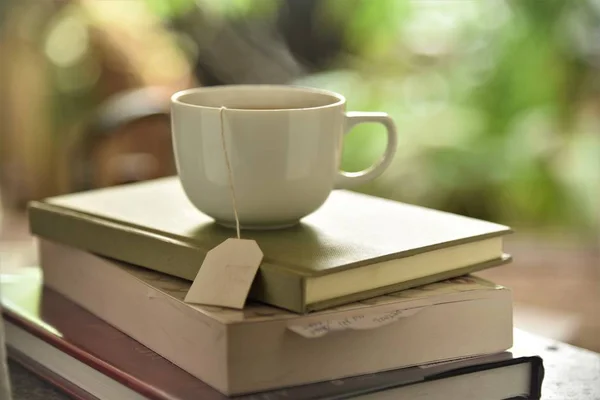 Tasse Thé Chaud Gisait Sur Les Livres Ingarden — Photo