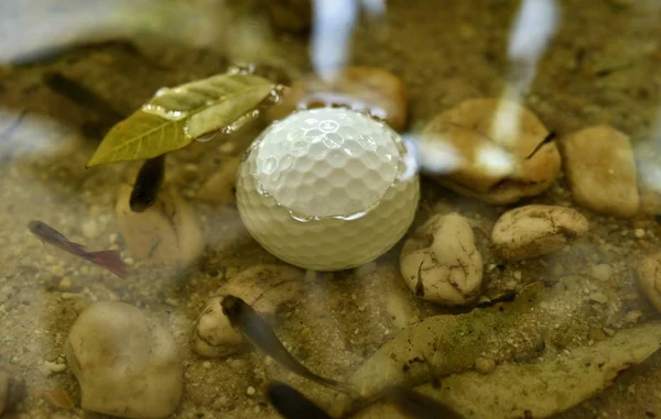 golf ball in water hazard fishes swimming around