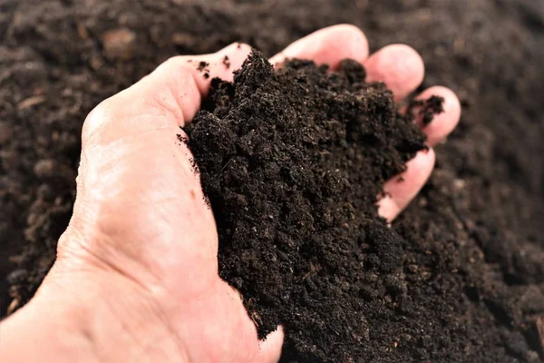 Bahçıvan el taşımak verimli soli