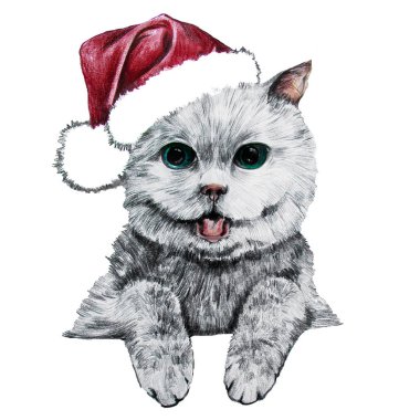 Yeni yıl mutlu kedi