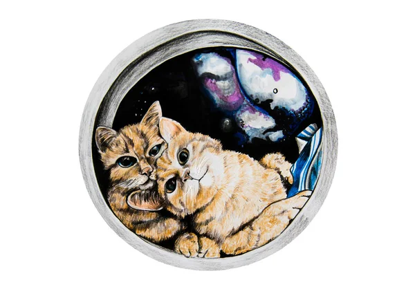 Cats in the space