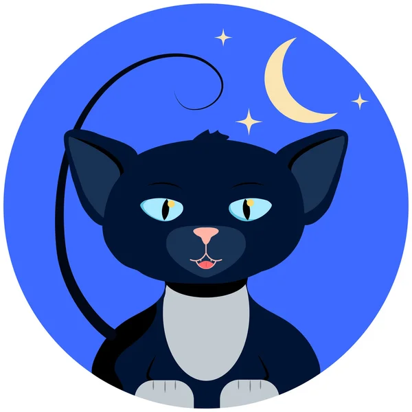 Ilustração vetorial de Halloween com gato. Gatinho de pata branca em fundo azul redondo com lua e estrelas . — Vetor de Stock