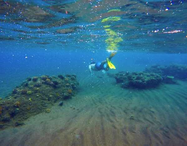 Paisaje submarino con snorkel hombre y arrecife de coral. Fondo marino con arena y algas — Foto de Stock