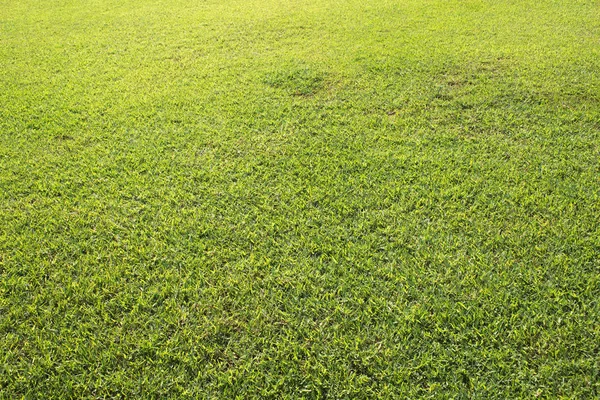 Fondo de campo verde o fondo de pantalla. Día soleado en el campo de fútbol . —  Fotos de Stock