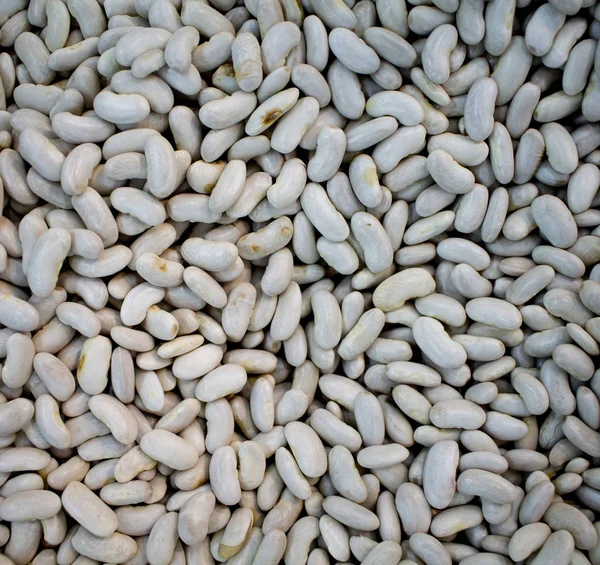 White haricot beans background or wallpaper. Dried beans for soup or garnet cooking. S