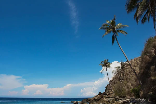 Fondo de viaje con palmeras y cielo azul. Cielo azul profundo y siluetas de palma sobre el mar tropical . —  Fotos de Stock