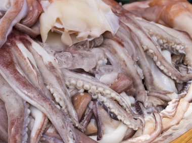 Deniz ahtapot Dükkanı'nın ekranda kazık. Deniz balıkçı catch.